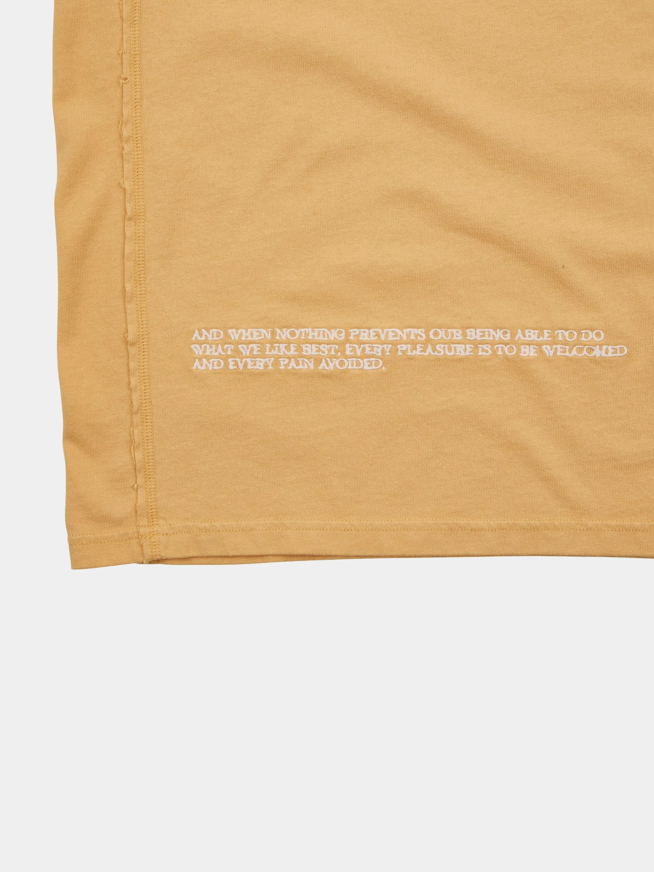 Футболка ACMH A-OK SS Tee Sunkist