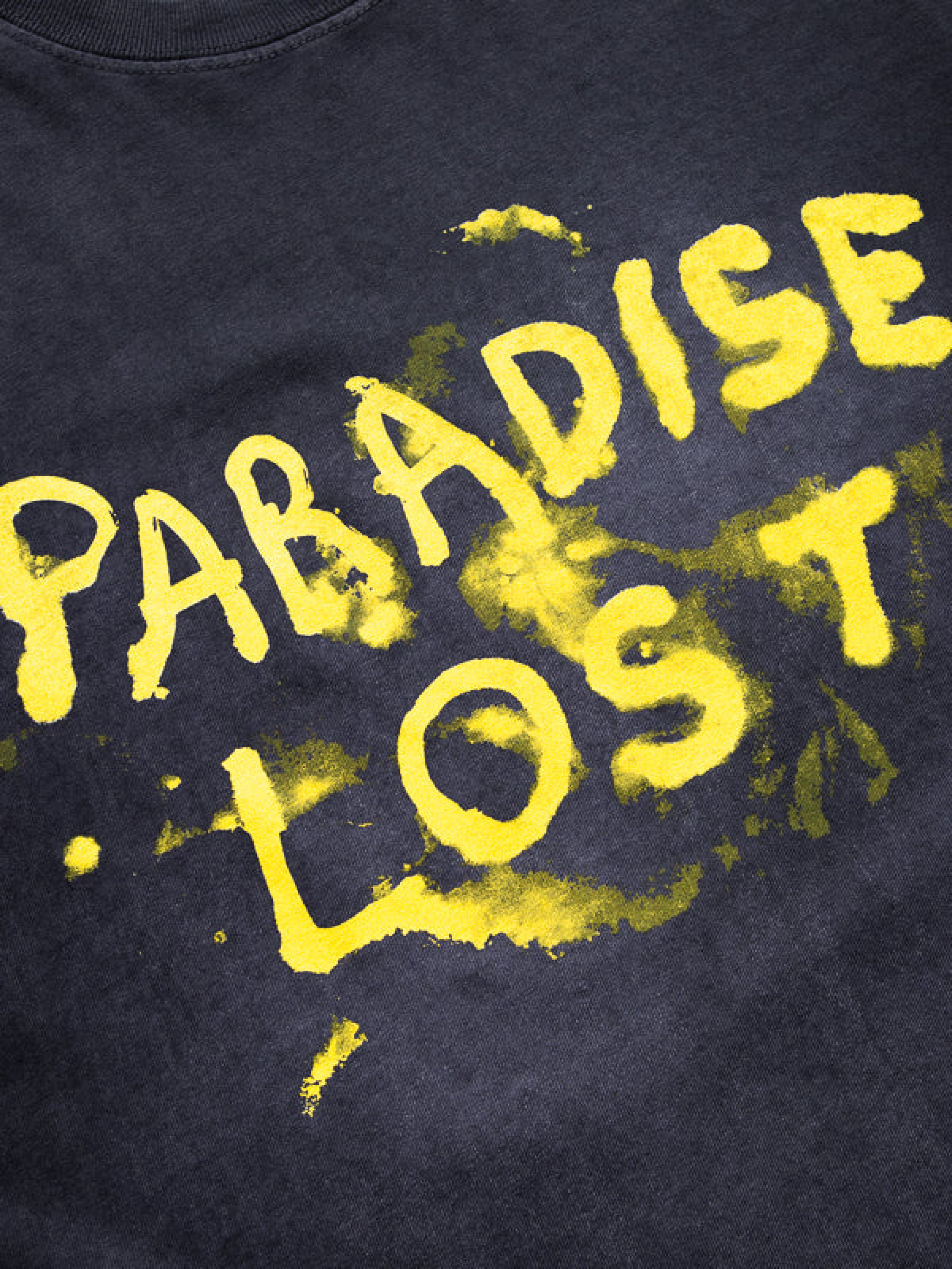 Футболка ALCHEMIST Paradise Lost Tee Moonstone