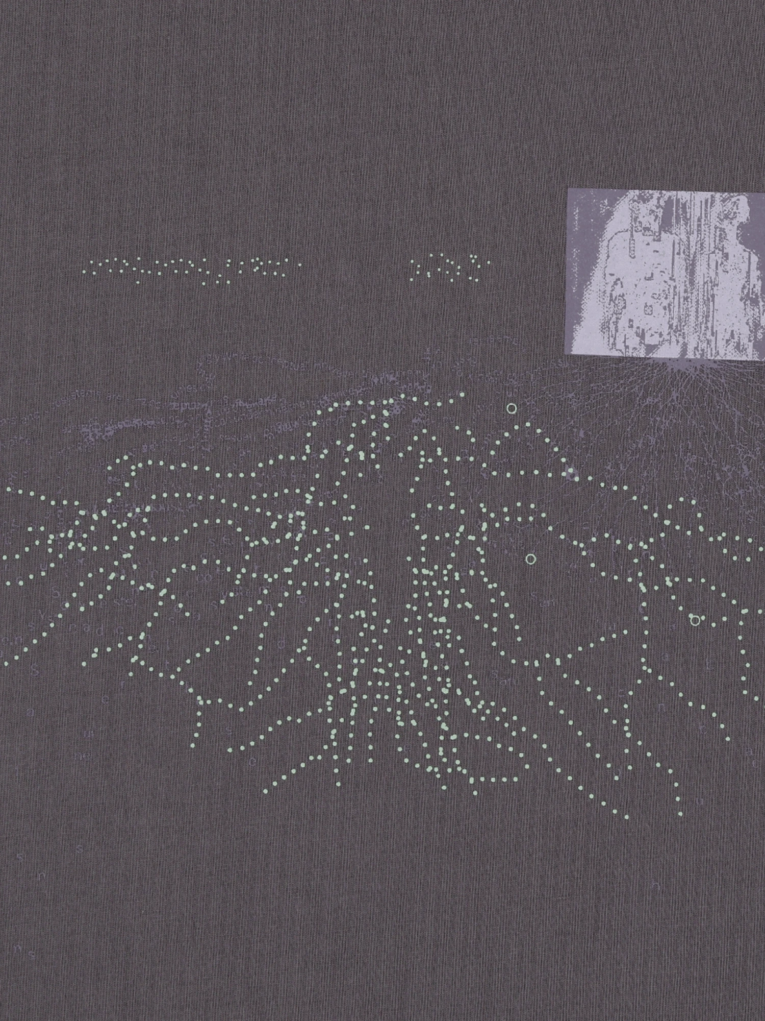 Футболка SAN SAN GEAR Organ System Red Bean