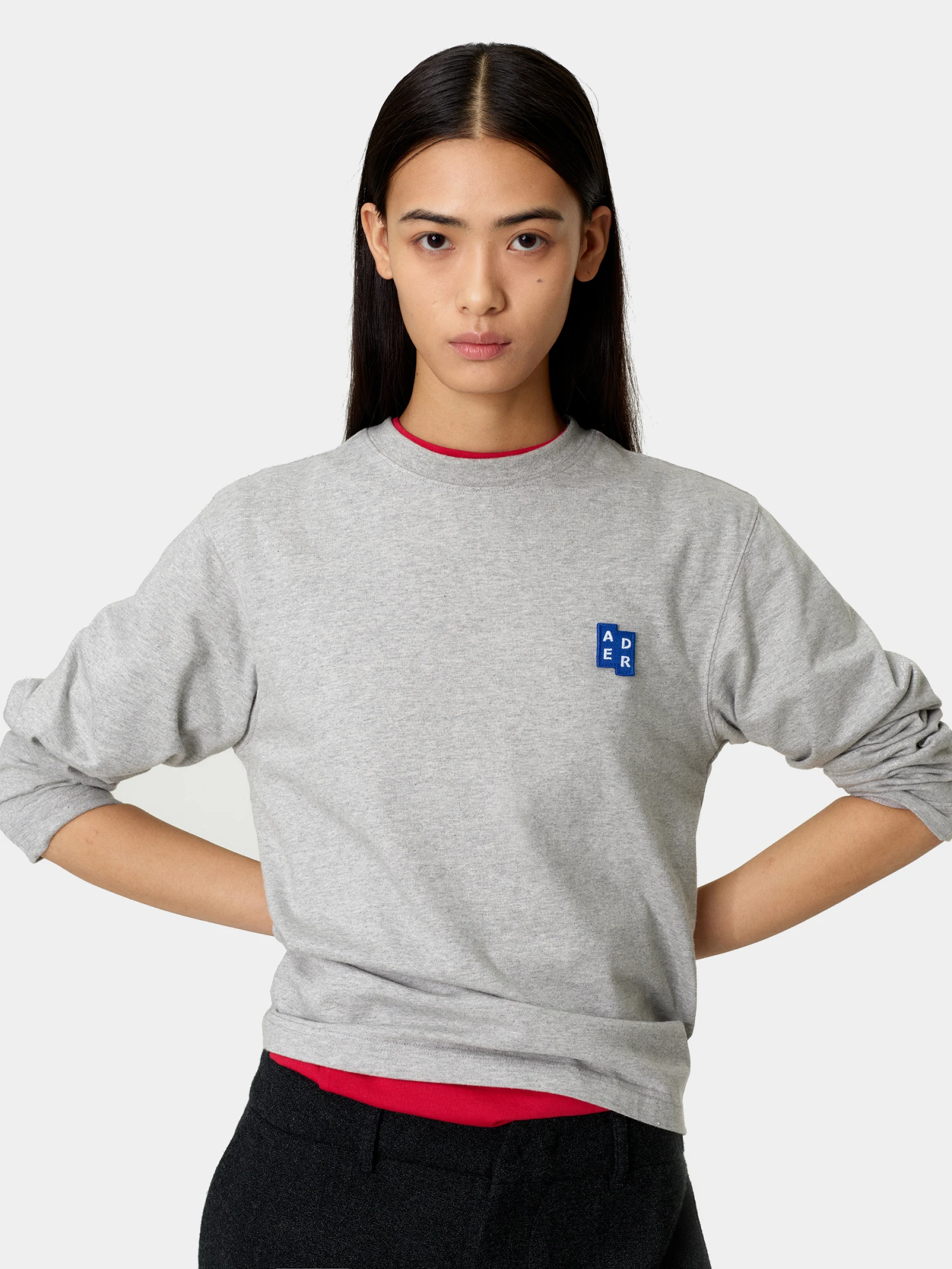 Лонгслив ADERERROR Sig; BL Tag L/S 01 Grey
