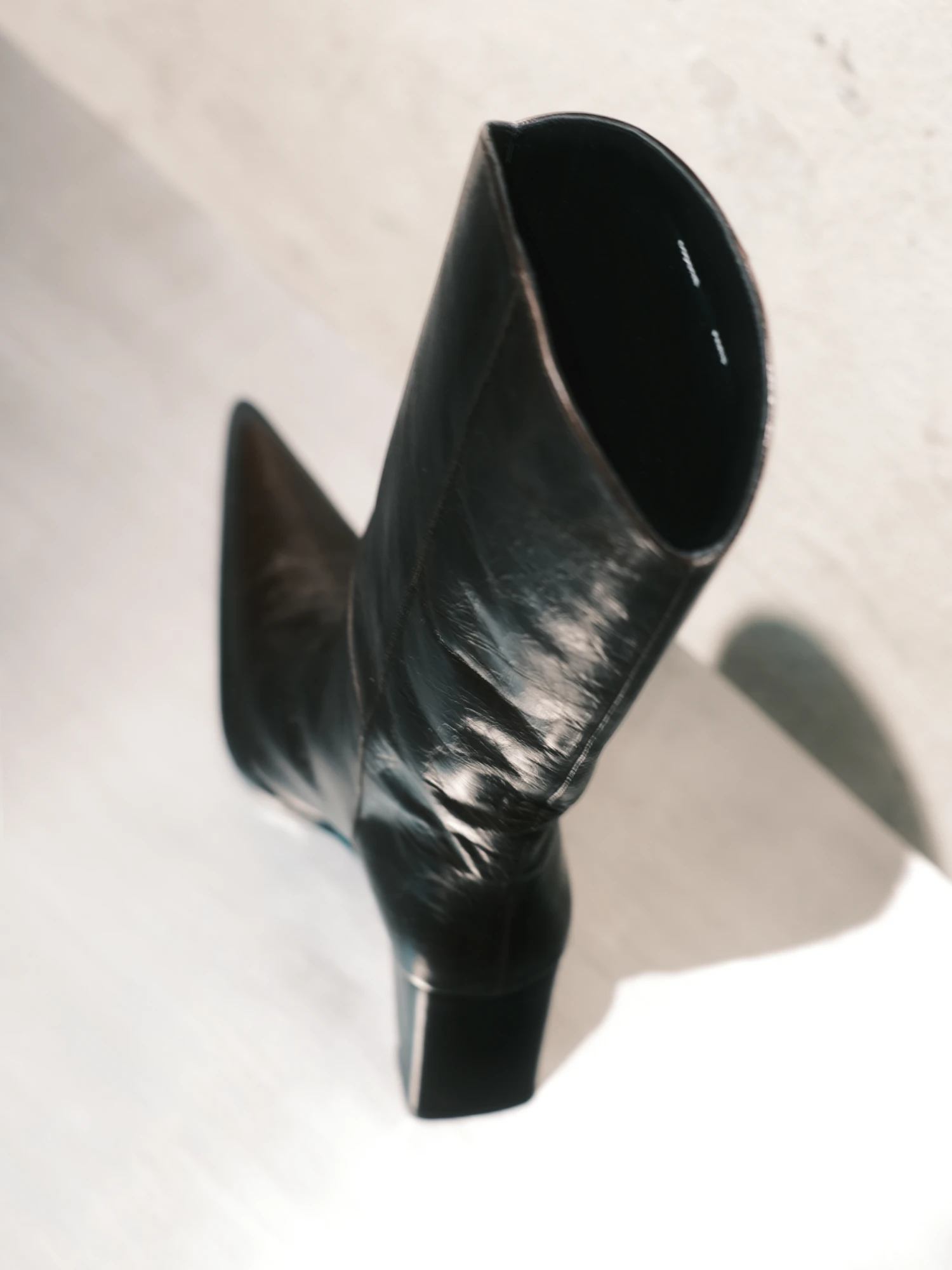 Женские сапоги Coperni Bridge Cowboy Boot