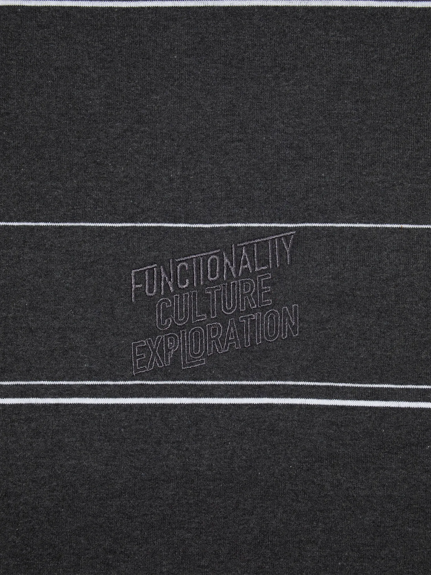 Лонгслив F/CE. Re Logo L/S Border T Gray