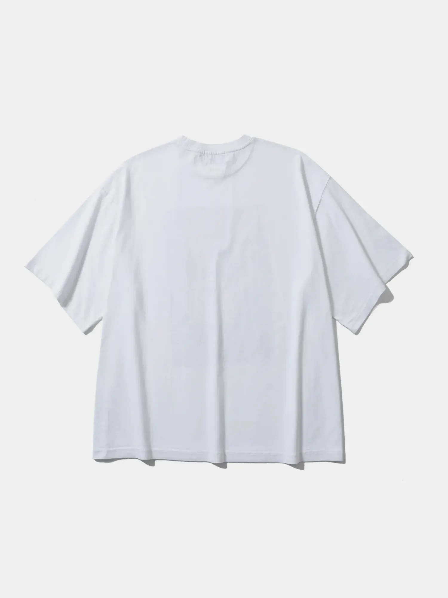 Футболка ANGLAN Satellite Photo Graphic Half Tee White