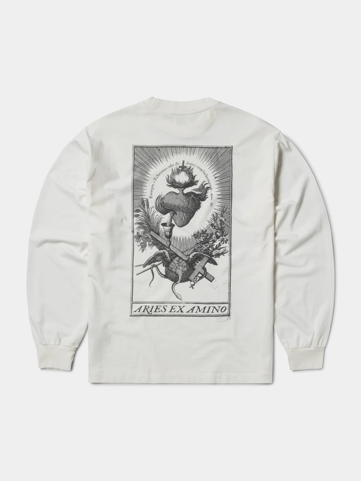 Лонгслив ARIES Faded Aries Ex Amino Off White