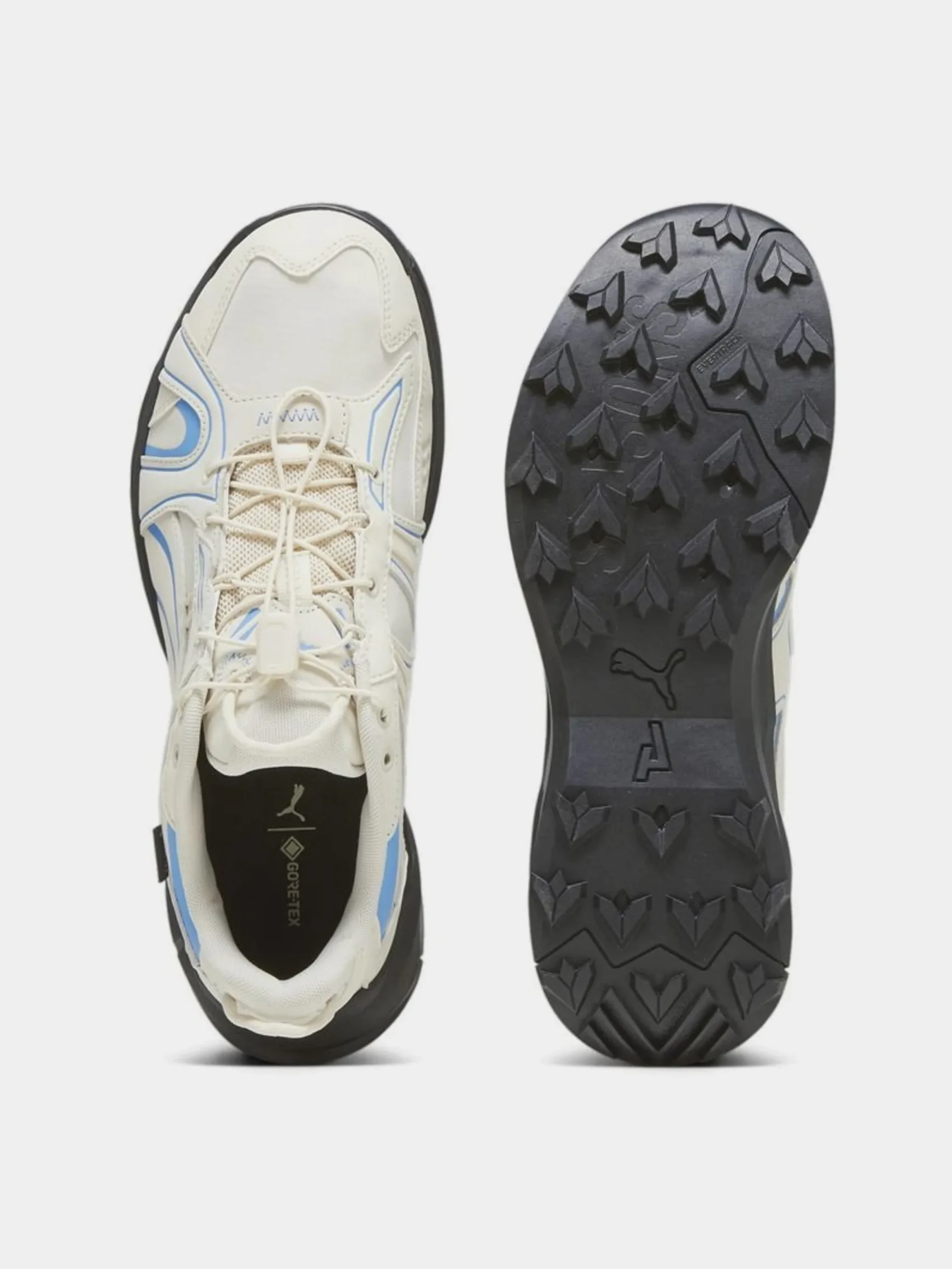 Кроссовки Puma Explore Nitro SPS GTX Alpine Snow