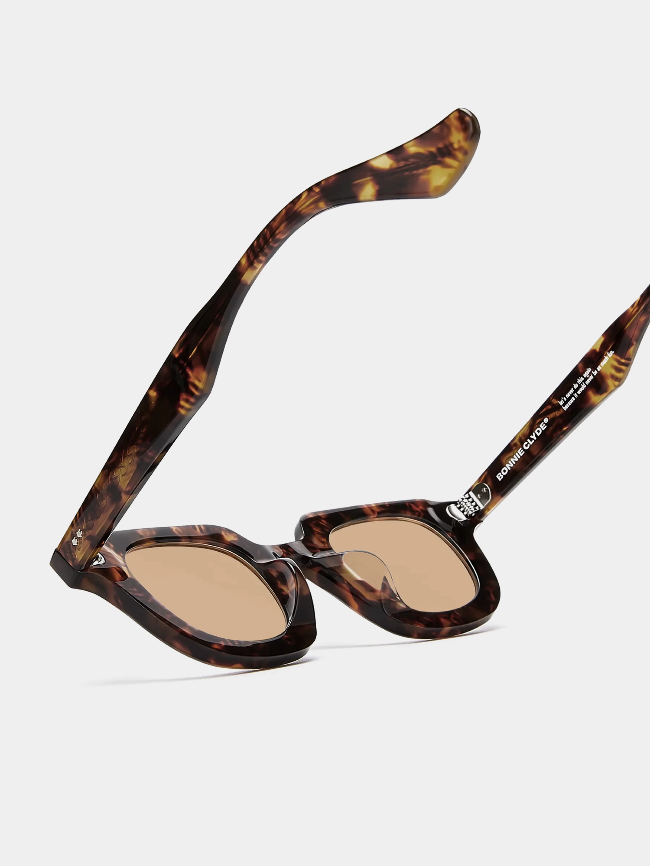 Очки Bonnie Clyde Gustave Tortoise & Brown Lens