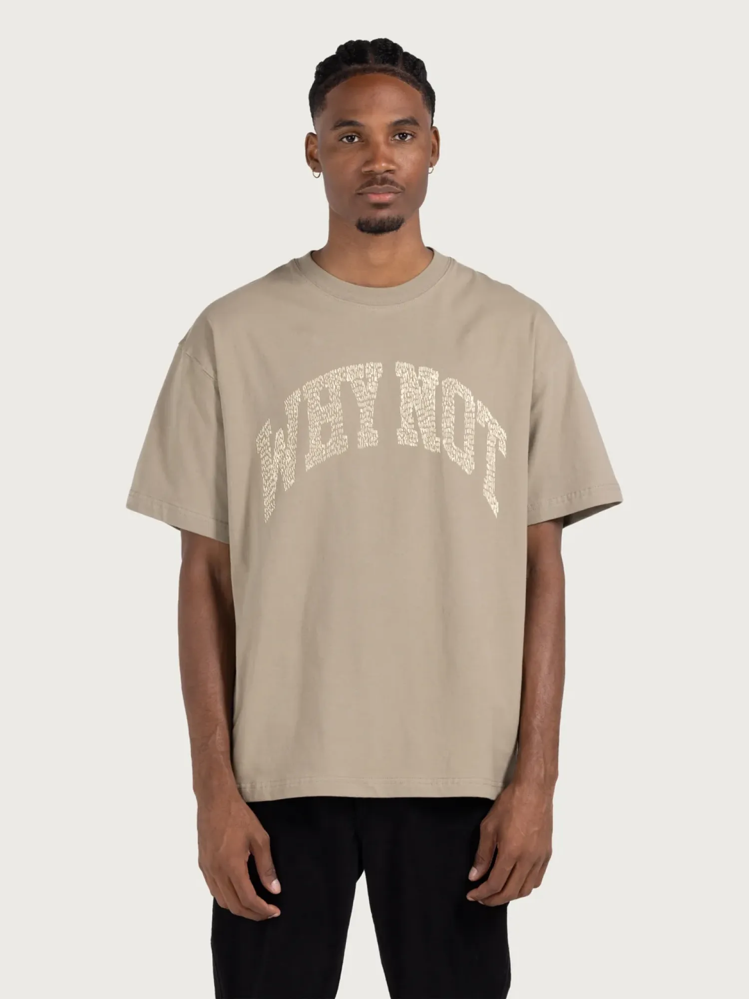 Футболка HONOR THE GIFT Why Not Taupe