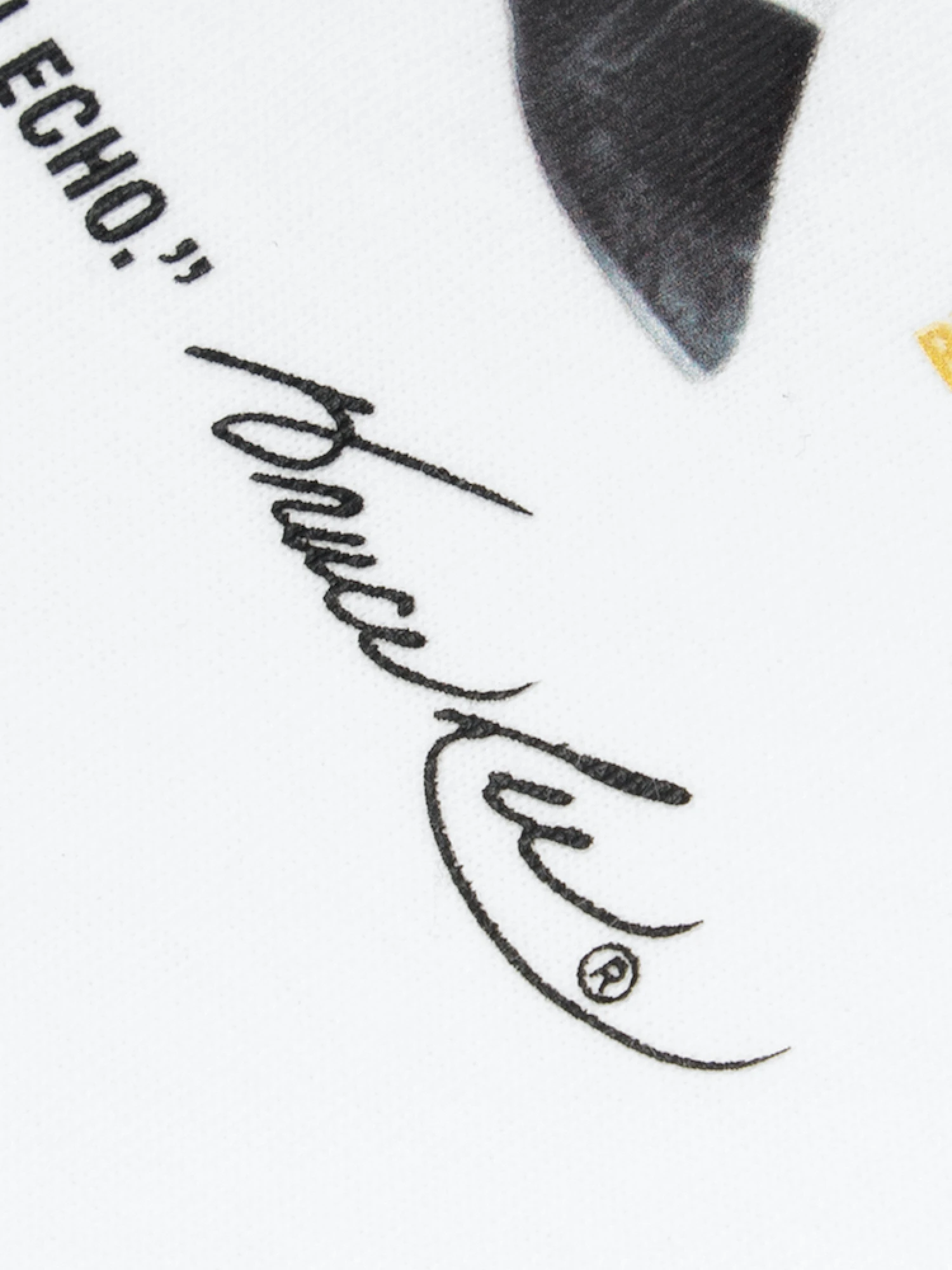 Футболка AAPE x Bruce Lee Graphic White
