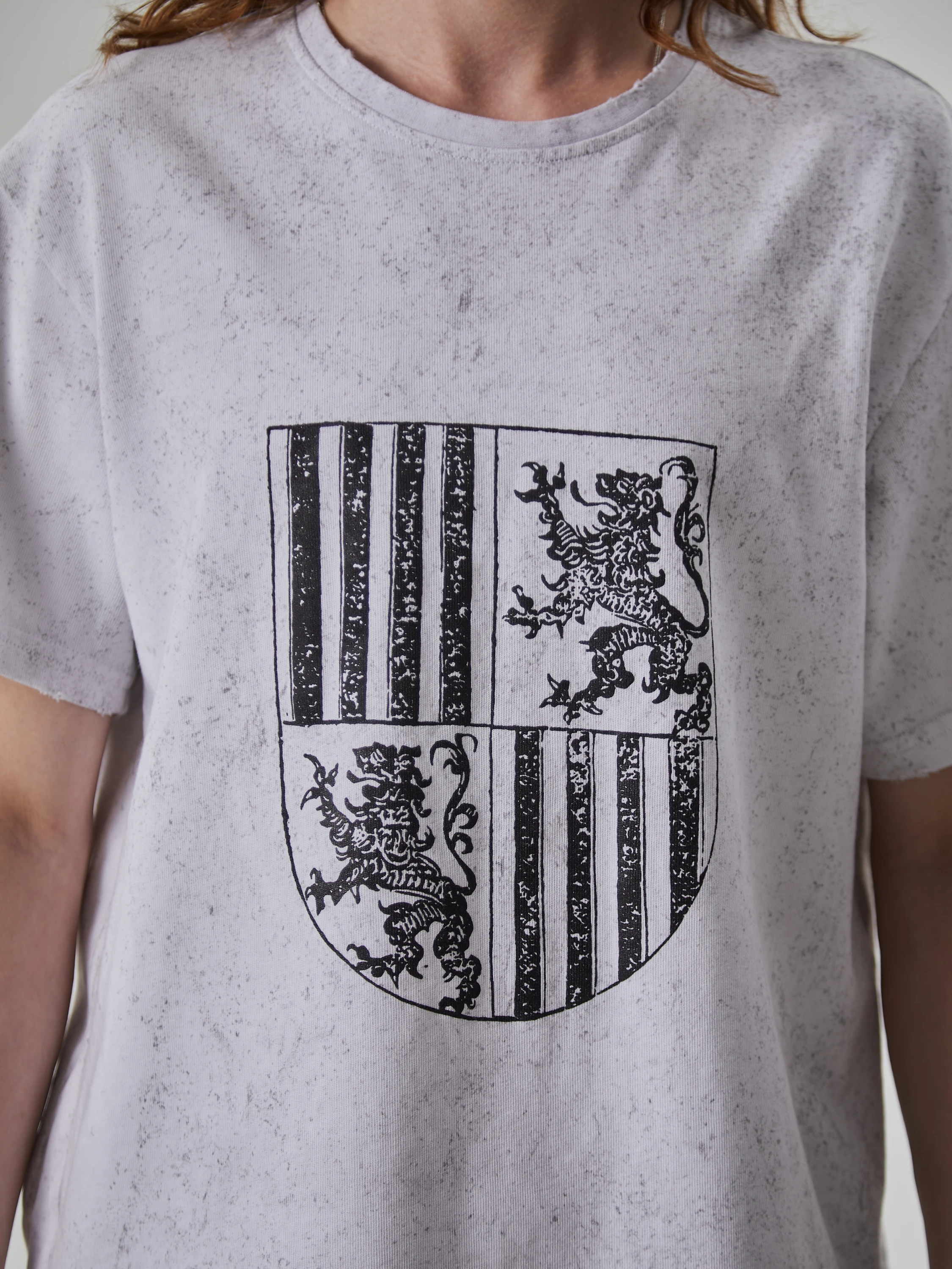Футболка Siniy Vsadnik Lions Tee White
