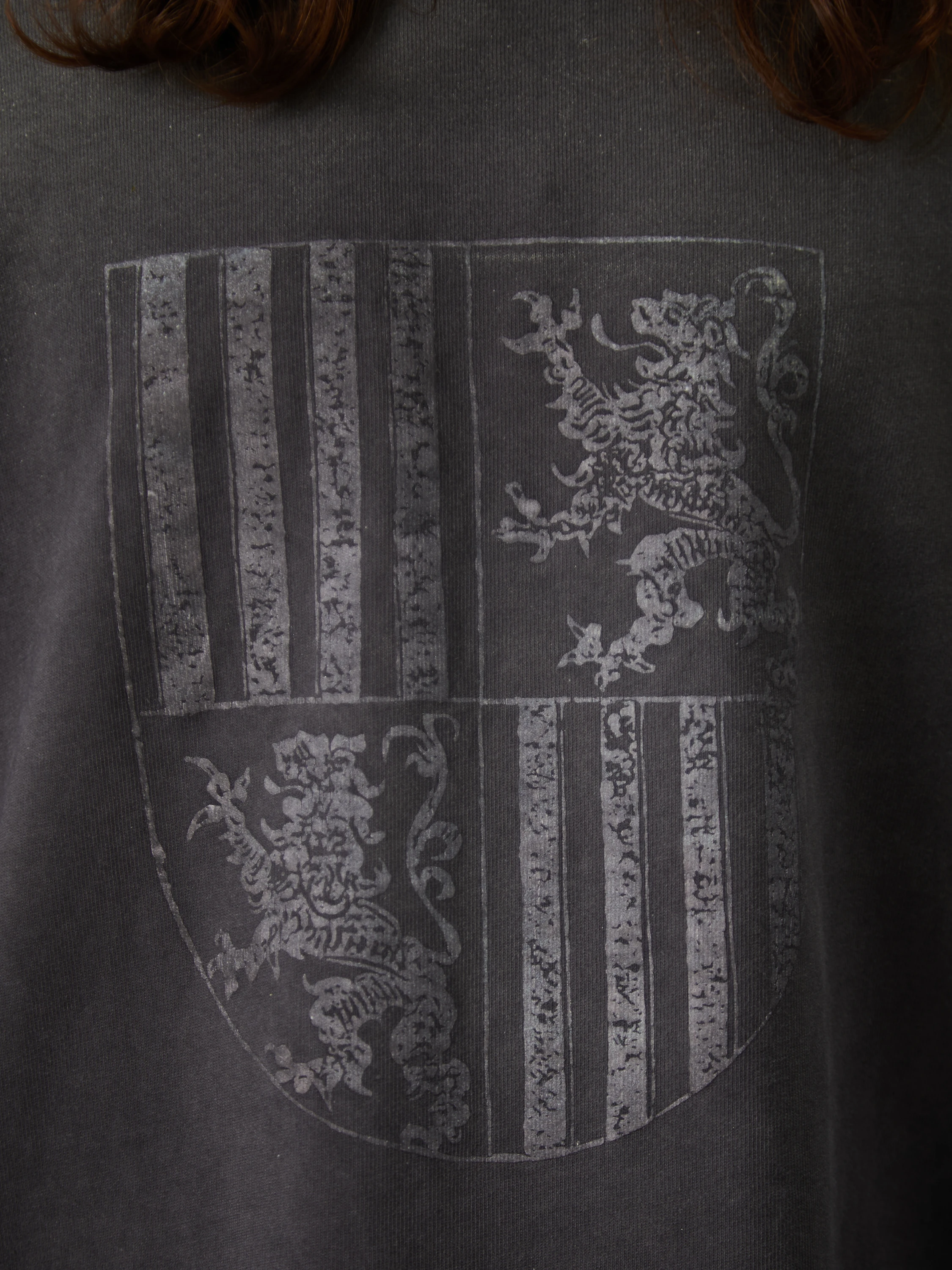 Лонгслив Siniy Vsadnik Dark Lions L/s Tee Magnet
