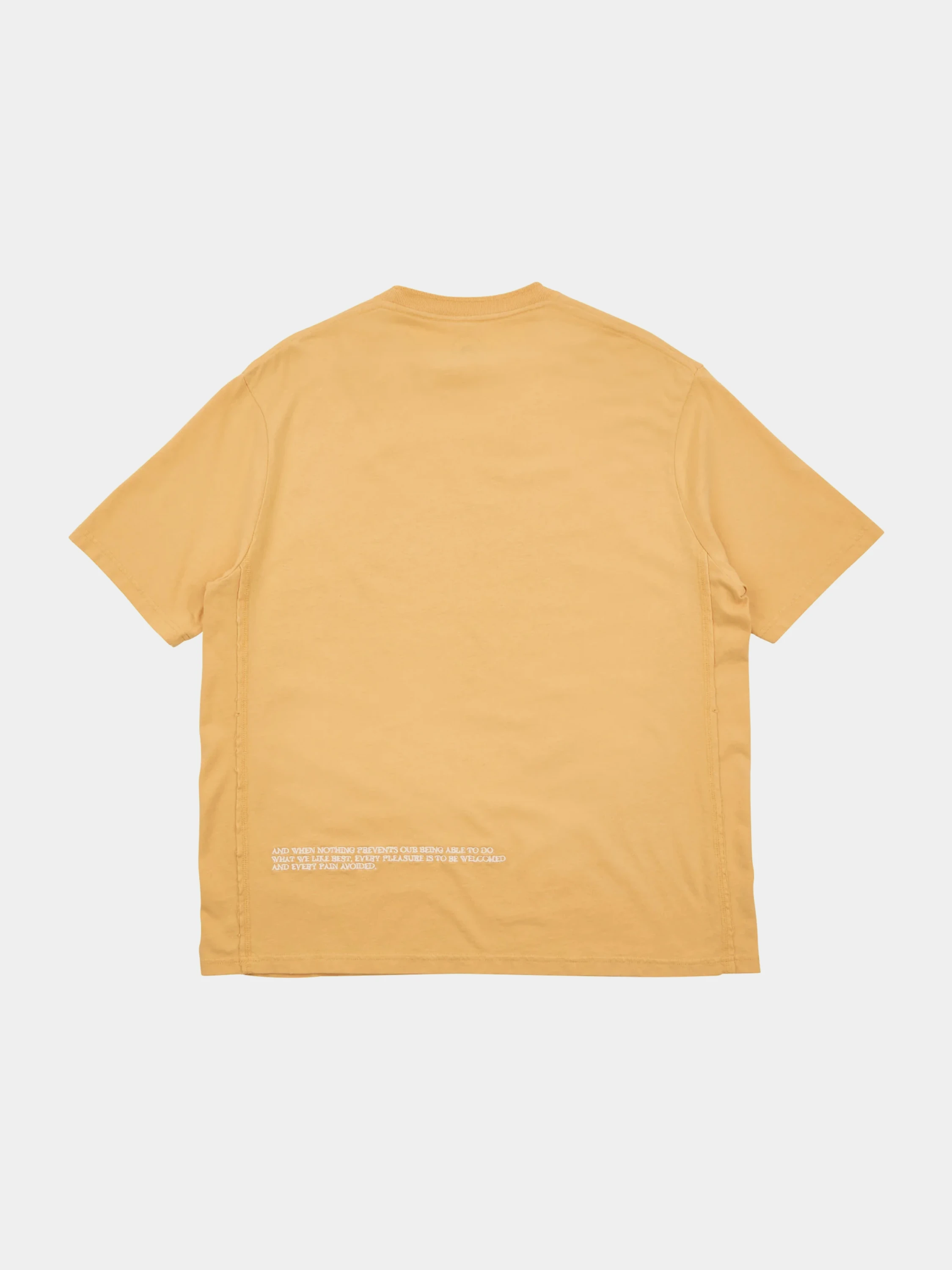 Футболка ACMH A-OK SS Tee Sunkist