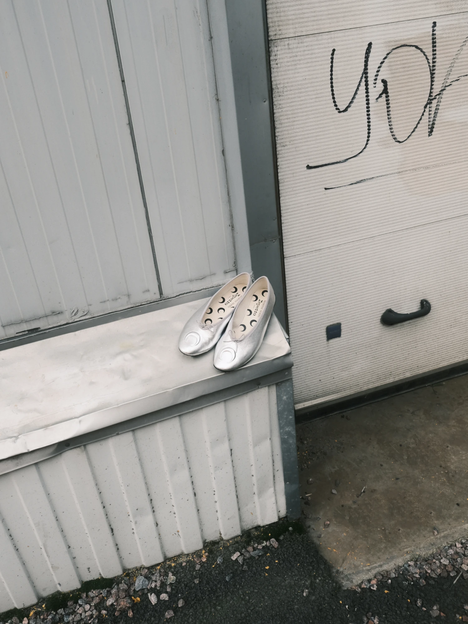 Женские балетки Marine Serre x Repetto Lilouh Ballet Flats Silver