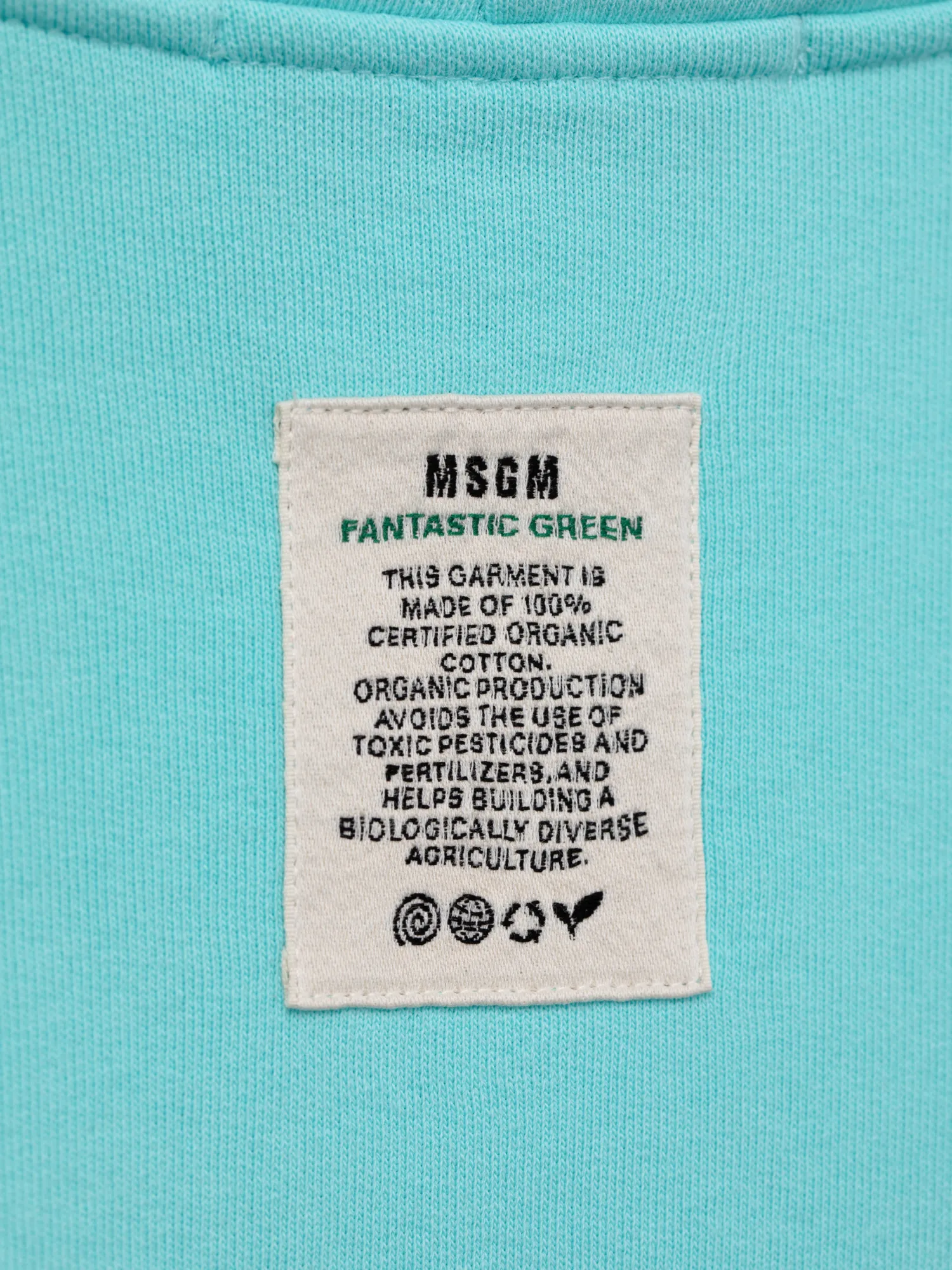 Худи MSGM Fantastic Apple Light Blue