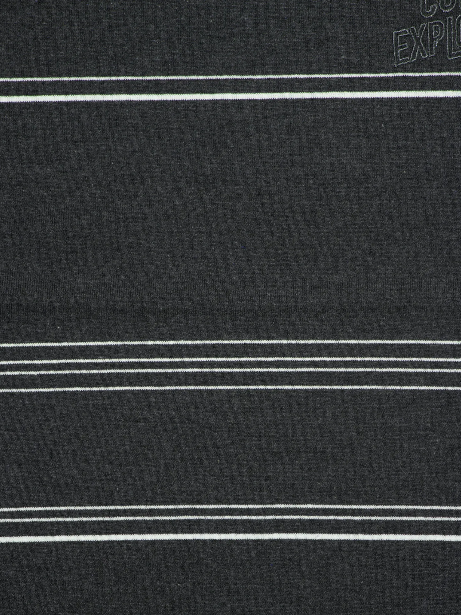 Лонгслив F/CE. Re Logo L/S Border T Gray