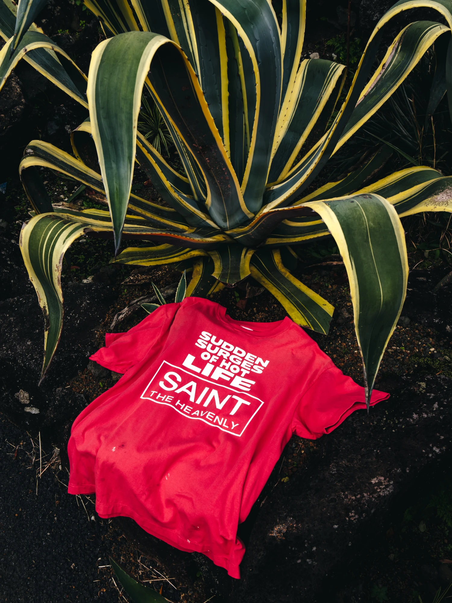 Футболка SAINT MXXXXXX SS Tee Erupting Pink Red
