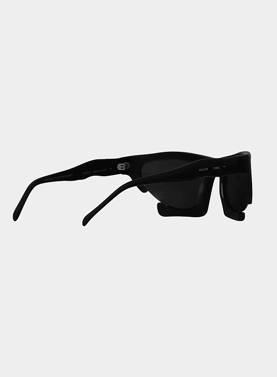 Очки HELIOT EMIL Axially Sunglasses Matt Black