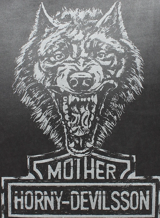 Лонгслив Daze x AA Night Ride Grey