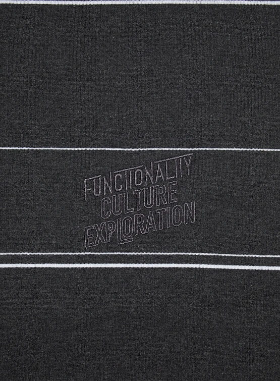 Лонгслив F/CE. Re Logo L/S Border T Gray