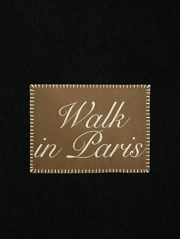 Шарф Walk In Paris Wool Logo Black