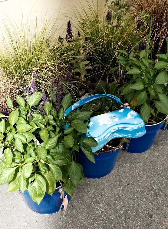 Женская сумка Diesel Play Crossbody Light Blue