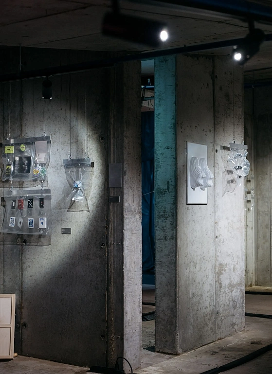 Пять лет Studio Slow: иммерсивная галлерея об истории проекта