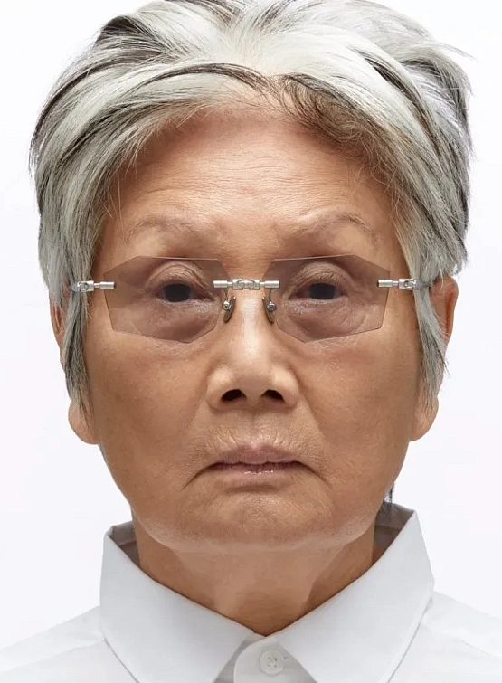 Очки KUBORAUM H63 Silver Matt