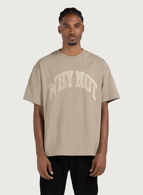 Футболка HONOR THE GIFT Why Not Taupe