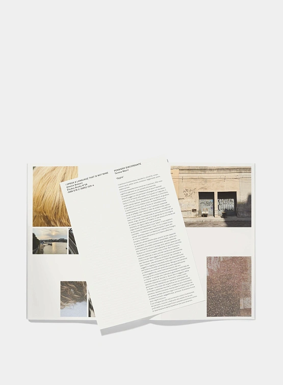 Книга Études Alessio Bolzoni