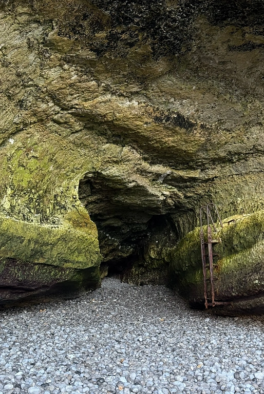 Гид Studio Slow: Париж