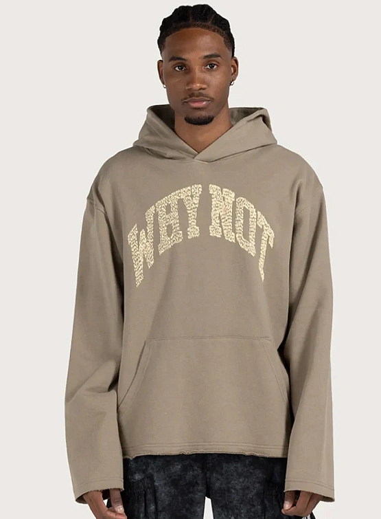 Худи HONOR THE GIFT "Why Not" Taupe