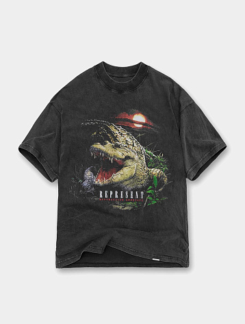 Футболка Represent Clo Destructive Appetite Vintage Grey