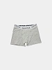 Боксеры Thug Club SMD Boxers Grey