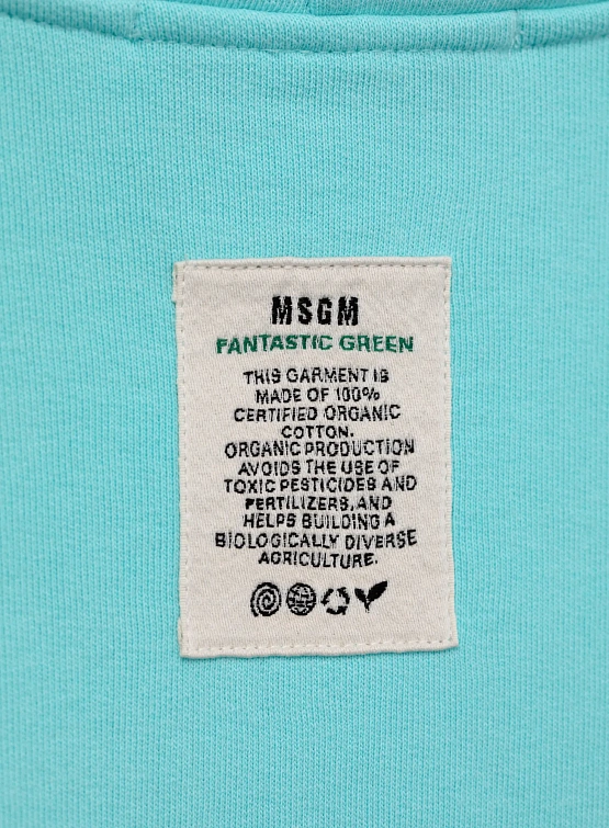 Худи MSGM Fantastic Apple Light Blue