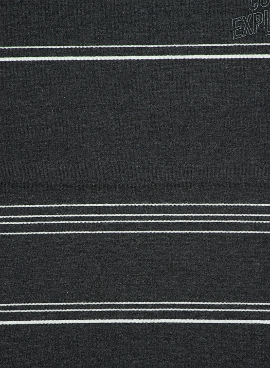 Лонгслив F/CE. Re Logo L/S Border T Gray