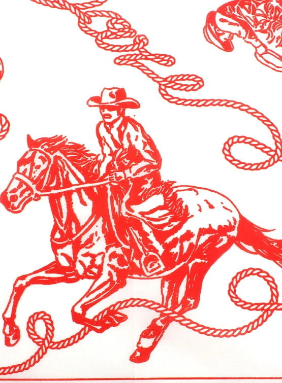 Бандана Daze x AA Rodeo White/Red