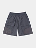 Шорты SAN SAN GEAR Nylon Shorts Purple