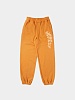 Брюки Heresy Smog Sweatpants Orange