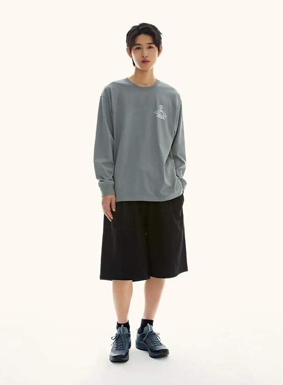 Лонгслив LMC Signature Globe Long Slv Tee Grey