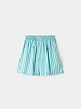 Женские шорты Sunnei Elastic Shorts Mint Green